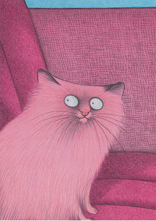 Katze pink