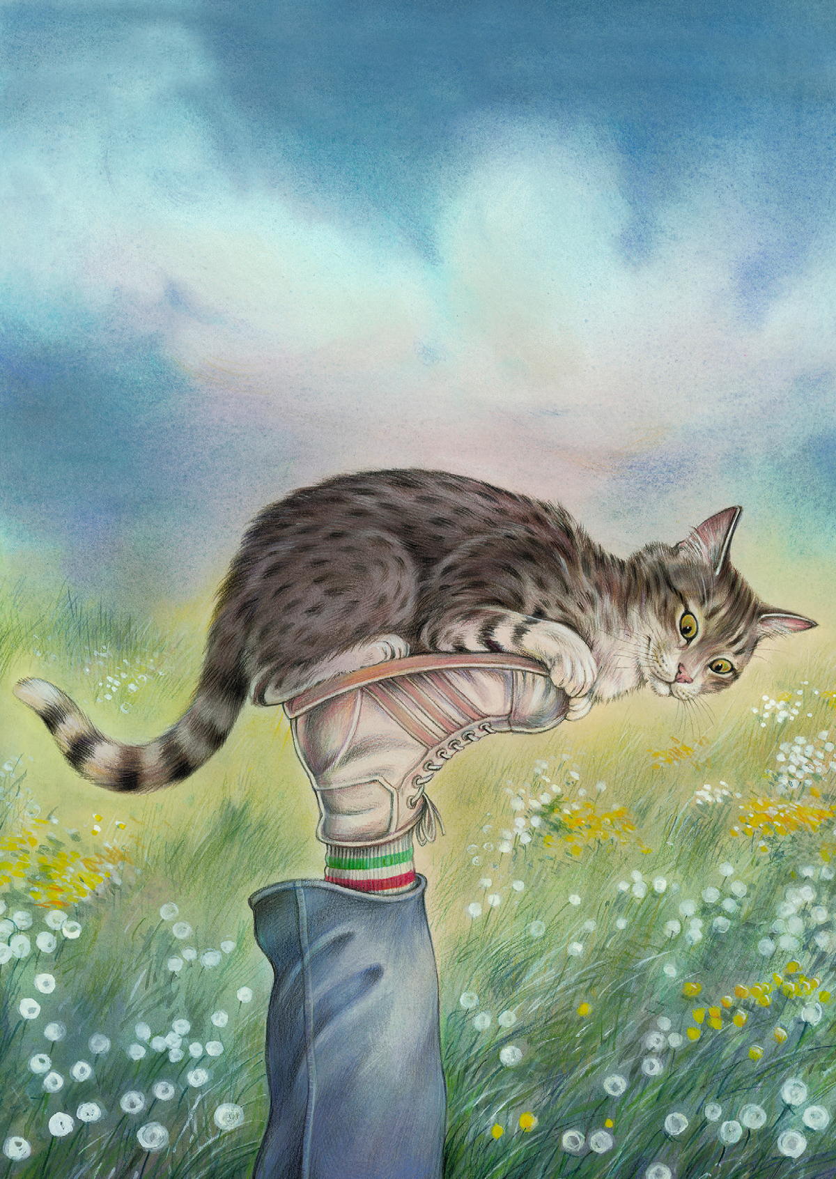 Katzen kann man alles sagen