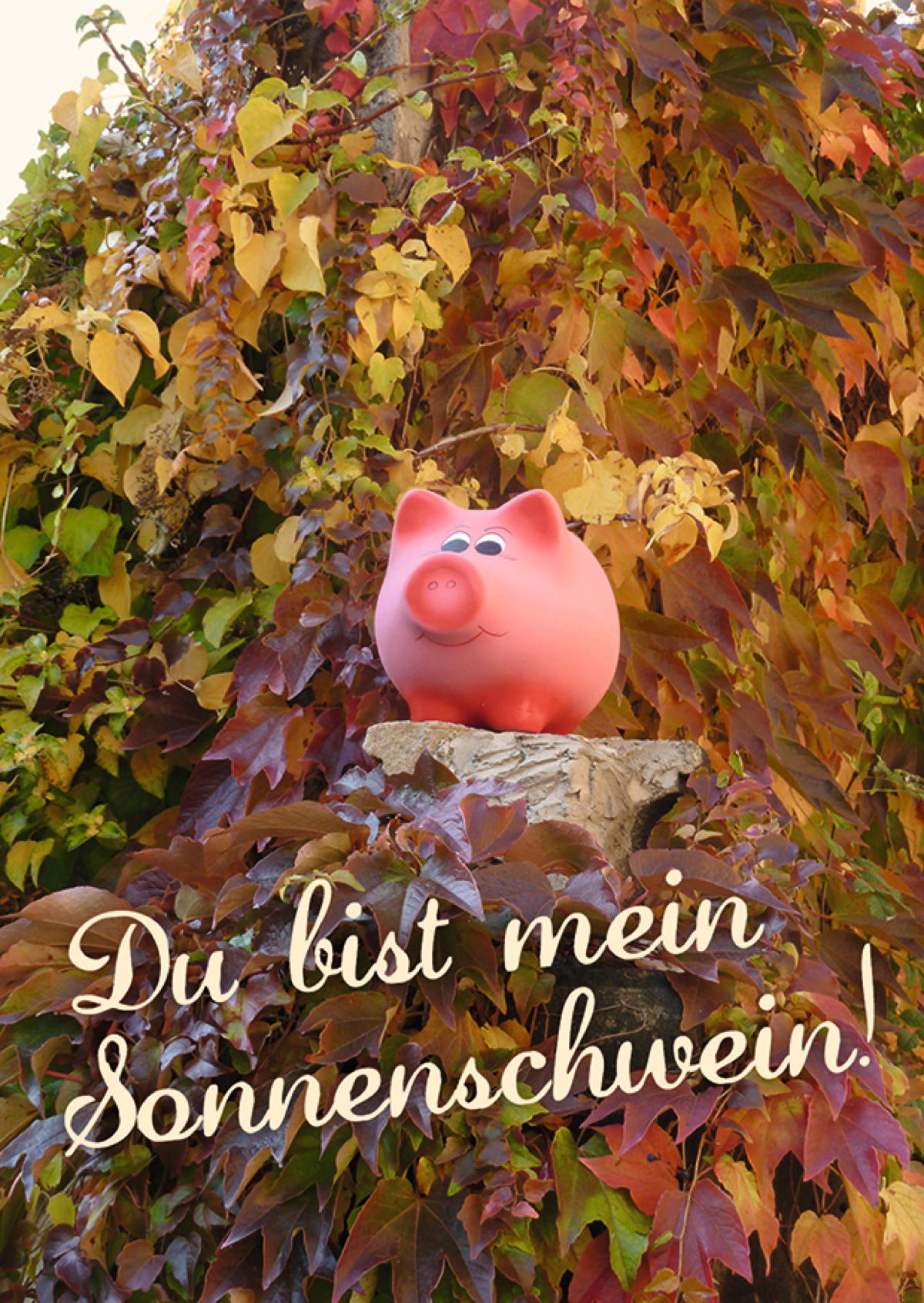 Sonnenschwein